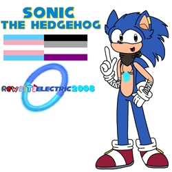 Size: 5888x5888 | Tagged: safe, artist:rewriteelectric2008, sonic the hedgehog, hedgehog, 2023, ace, alternate universe, character name, ear fluff, ear piercing, english text, male, necklace, older, pointing, pride flag, reference sheet, scarf, signature, simple background, smile, solo, standing, top surgery scars, trans male, transgender, white background