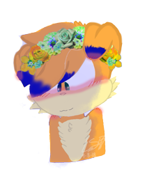 Size: 725x858 | Tagged: safe, artist:lightningspines, oc, oc:treasures the hedgefox, fox, blushing, blushing shoulders, bust, fankid, floppy ears, flower crown, looking down, magical gay spawn, male, oc only, parent:sonic, parent:tails, parents:sontails, simple background, smile, solo, transparent background