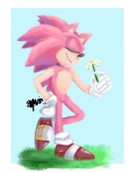 Size: 1329x1718 | Tagged: safe, artist:soso713705, sonic the hedgehog, oc, oc:sakura sonic, hedgehog, 2018, blue background, border, color swap, daisy (flower), eyes closed, flower, fluffy, grass, hand on hip, holding something, lineless, male, outdoors, pink fur, signature, simple background, smile, solo, standing