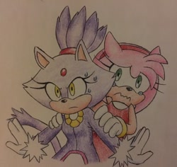 Size: 540x510 | Tagged: safe, artist:chippidraws, amy rose, blaze the cat, cat, hedgehog, 2017, amy x blaze, amy's halterneck dress, blaze's tailcoat, crying, cute, female, females only, lesbian, protecting, scared, shipping, sweatdrop, tears, traditional media