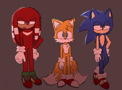 Size: 1944x1449 | Tagged: safe, artist:sketch-notes, knuckles the echidna, miles "tails" prower, sonic the hedgehog, echidna, fox, hedgehog, brown background, looking offscreen, male, males only, simple background, standing, team sonic, trio