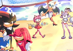 Size: 2900x2048 | Tagged: safe, artist:zettoart, amy rose, blaze the cat, knuckles the echidna, rouge the bat, shadow the hedgehog, sonic the hedgehog, volleyball