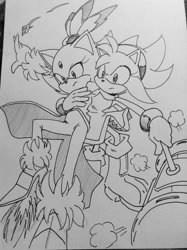 Size: 1024x1371 | Tagged: safe, artist:smsskullleader, amy rose, blaze the cat, cat, hedgehog, 2015, amy x blaze, amy's halterneck dress, blaze's tailcoat, female, females only, flame, holding them, lesbian, piko piko hammer, shipping, sketch, traditional media
