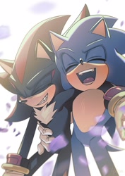 Size: 1448x2048 | Tagged: safe, artist:hyeon_sonic, shadow the hedgehog, sonic the hedgehog, 2023, duo, gay, holding each other, laughing, male, males only, petals, shadow x sonic, shipping, smile, standing