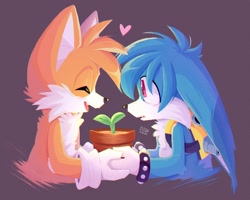 Size: 2048x1639 | Tagged: safe, artist:ili0tropi0h, kit the fennec, miles "tails" prower, 2023, duo, eyes closed, gay, heart, holding something, kitails, looking at them, male, males only, mouth open, plant, plant pot, purple background, shipping, simple background, smile, standing