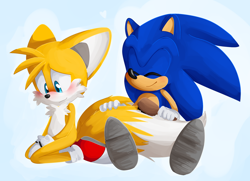 Size: 1280x926 | Tagged: safe, artist:sp-rings, miles "tails" prower, sonic the hedgehog, fox, hedgehog, abstract background, blushing, brushing, brushing tail, commission, cute, duo, gay, hairbrush, heart, kneeling, male, males only, shipping, sitting, smile, sonic x tails