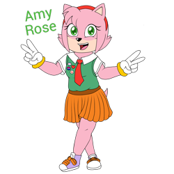 Size: 1232x1232 | Tagged: safe, artist:matttheenby, amy rose, bisexual, character name, double v sign, flat colors, looking at viewer, mouth open, simple background, smile, solo, tie, trans female, transgender, transparent background, walking