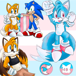 Size: 2048x2048 | Tagged: safe, artist:seagull-scribbles, miles "tails" prower, sonic the hedgehog, fox, hedgehog, crop top, duality, duo, female, flag, frown, gloves, hands on hips, limited palette, looking at viewer, looking up, male, mid-air, pride flag, pride flag background, skirt, smile, standing, tails logo, trans female, trans girl tails, trans pride, transgender, v sign