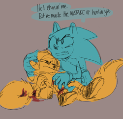 Size: 1700x1650 | Tagged: safe, artist:indigobeatss, miles "tails" prower, sonic the hedgehog, fox, hedgehog, bleeding, blood, crying, dialogue, duo, english text, floppy ears, grey background, holding them, injured, lying down, one eye closed, simple background, sketch, speech bubble, tears, tears of sadness