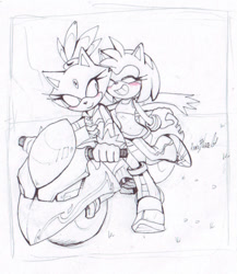 Size: 540x622 | Tagged: safe, artist:auroblaze, amy rose, blaze the cat, cat, hedgehog, 2017, amy x blaze, blushing, cute, female, females only, lesbian, looking back, motorcycle, shipping, sketch