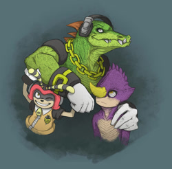Size: 901x886 | Tagged: safe, artist:iracat, charmy bee, espio the chameleon, vector the crocodile, bee, crocodile, 2017, abstract background, chameleon, frown, looking up, male, males only, smile, team chaotix, trio, wink