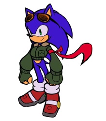 Size: 946x1080 | Tagged: safe, artist:jasongoldfalcon, sonic the hedgehog, hedgehog, 2022, clothes, jacket, looking offscreen, male, redesign, simple background, smile, solo, standing, sunglasses, white background