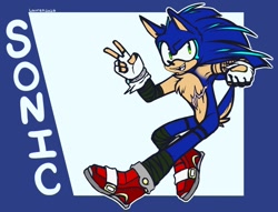 Size: 1300x992 | Tagged: safe, artist:cloudsthehedgefox99, sonic the hedgehog, hedgehog, 2020, abstract background, alternate universe, character name, fingerless gloves, male, mouth open, scar, smile, solo