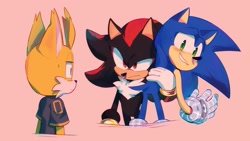 Size: 2048x1152 | Tagged: safe, artist:inukmi2, miles "tails" prower, nine, shadow the hedgehog, sonic the hedgehog, fox, hedgehog, sonic prime, sonic prime s2, blushing, carrying them, frown, looking at them, male, males only, pink background, simple background, smile, standing, sweatdrop, trio