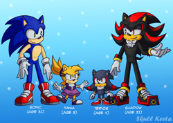 Size: 2048x1457 | Tagged: safe, artist:skull-keeta-art, shadow the hedgehog, sonic the hedgehog, oc, oc:tania the hedgehog (skull-keeta), oc:terios the hedgehog (skull-keeta), hedgehog, character name, clothes, english text, family, fankid, father and daughter, father and son, female, gay, group, magical gay spawn, male, parent:shadow, parent:sonic, parents:sonadow, shadow x sonic, shipping, smile, standing, star (symbol)