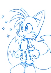 Size: 715x1024 | Tagged: safe, artist:fixstern star, miles "tails" prower, fox, 2019, blushing, line art, looking offscreen, male, mouth open, simple background, solo, sparkles, standing, white background