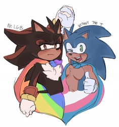 Size: 1922x2048 | Tagged: safe, artist:t0yhaunt, shadow the hedgehog, hedgehog, blushing, cape, duo, english text, frown, gay, gay pride, holding hands, lidded eyes, looking at viewer, male, males only, pride, pride flag, shadow x sonic, shipping, simple background, smile, standing, thumbs up, top surgery scars, trans male, trans pride, transgender, white background, wink