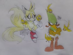 Size: 2048x1536 | Tagged: safe, artist:transgender-battlekukku, flicky, miles "tails" prower, speedy, super tails, bird, fox, ambiguous gender, arms folded, duo focus, eyelashes, flying, group, literal animal, male, sitting, smile, standing, super form, tails adventure