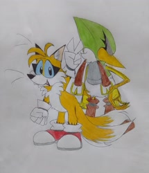 Size: 1763x2048 | Tagged: safe, artist:transgender-battlekukku, miles "tails" prower, speedy, bird, fox, sonic adventure 2, blue sclera, duo, eyelashes, grey sclera, looking at viewer, looking back at them, male, males only, redraw, smile, standing, traditional media, v sign