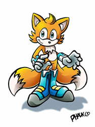 Size: 600x800 | Tagged: safe, artist:kaithephaux, skye prower, fox, 2009, looking at viewer, male, shadow (lighting), signature, simple background, smile, solo, standing, white background