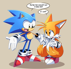 Size: 1828x1776 | Tagged: safe, artist:risziarts, miles "tails" prower, sonic the hedgehog, fox, hedgehog, arms out, beige background, dialogue, duo, english text, looking at each other, male, males only, outline, shadow (lighting), signature, simple background, smile, speech bubble, standing, wholesome