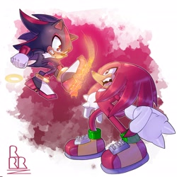 Size: 3131x3131 | Tagged: safe, artist:ryan rudnick, knuckles the echidna, shadow the hedgehog, fight