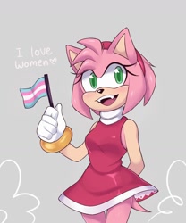 Size: 1080x1296 | Tagged: safe, artist:artkett1412, amy rose, hedgehog, 2023, bisexual, blushing, english text, flag, grey background, hand behind back, holding something, pride, pride flag, simple background, smile, solo, standing, trans pride