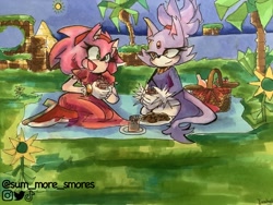 Size: 2048x1536 | Tagged: safe, artist:sum_more_smores, amy rose, blaze the cat, cat, hedgehog, 2023, amy x blaze, blaze's tailcoat, cute, dress, female, females only, lesbian, picnic, picnic basket, shipping