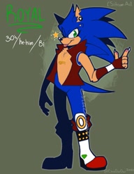 Size: 1571x2048 | Tagged: safe, artist:cha0w0w, sonic the hedgehog, hedgehog, abstract background, alternate universe, au:sitcom, bisexual, boots, claws, english text, fingerless gloves, jacket, male, nickname, pronouns, reference sheet, ring, smile, solo, standing, star (symbol), tongue out, wink