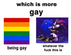 Size: 454x350 | Tagged: safe, editor:kittkattys, shadow the hedgehog, sonic the hedgehog, sonic prime, duo, edit, english text, gay, meme, shadow x sonic, shipping, which is more gay?