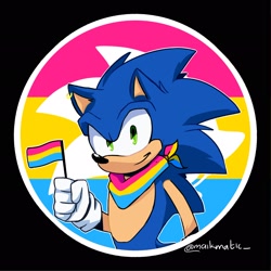 Size: 2048x2047 | Tagged: safe, artist:mikematic_, sonic the hedgehog, hedgehog, 2020, abstract background, bandana, earring, flag, holding something, looking at viewer, male, outline, pansexual, pansexual pride, pride, pride flag, smile, solo