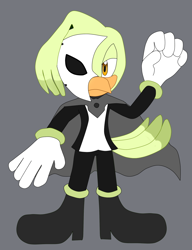 Size: 1018x1326 | Tagged: artist needed, source needed, safe, oc, oc:fei the pigeon, bird, cape, clothes, female, flat colors, frown, green fur, grey background, looking at viewer, mask, mask over one eye, oc only, orange eyes, pigeon, simple background, solo, standing