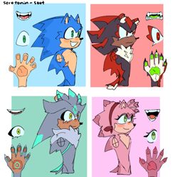 Size: 1191x1224 | Tagged: safe, artist:solfinite, amy rose, shadow the hedgehog, silver the hedgehog, sonic the hedgehog, hedgehog, abstract background, claws, eyelashes, fangs, female, frown, group, male, natural alt, natural amy rose, pawpads, redesign, reference sheet, smile, top surgery scars, trans male, transgender