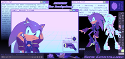 Size: 2048x972 | Tagged: safe, artist:12neonlit-stage, sonic the hedgehog, hedgehog, ace, adhd, alternate universe, aromantic, au:crystallized, autistic, computer screen, digital, english text, frown, genderfluid, male, smile, solo, trans male, transgender