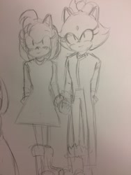 Size: 540x720 | Tagged: safe, artist:iimpey, amy rose, blaze the cat, cat, hedgehog, 2017, amy x blaze, amy's halterneck dress, blaze's tailcoat, cute, female, females only, holding hands, lesbian, shipping, sketch, traditional media