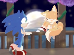 Size: 2048x1536 | Tagged: safe, artist:giaoux, miles "tails" prower, sonic the hedgehog, 2023, abstract background, blushing, crush, duo, floppy ear, gay, lidded eyes, looking at them, moon, nervous, nighttime, outdoors, shipping, sitting, sonic x tails, standing