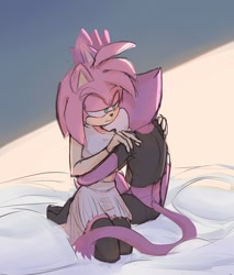 Size: 1020x1200 | Tagged: safe, artist:fang___73, amy rose, blaze the cat, cat, hedgehog, 2022, amy x blaze, cute, female, females only, hand on shoulder, hugging, lesbian, romantic, shipping