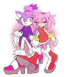 Size: 1419x1633 | Tagged: safe, artist:jumper_coach, amy rose, blaze the cat, cat, hedgehog, 2022, amy x blaze, amy's halterneck dress, blaze's tailcoat, cute, eyes closed, female, females only, holding hands, lesbian, shipping, walking