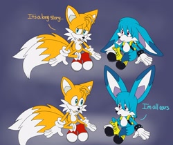 Size: 2048x1721 | Tagged: safe, artist:cyngawolf, kit the fennec, miles "tails" prower, 2023, dialogue, duo, ears up, english text, gay, i'm all ears, kitails, looking at each other, looking at them, meme, shipping, sitting