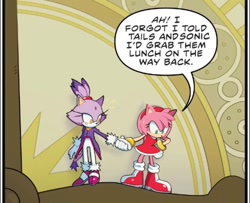 Size: 1170x951 | Tagged: safe, artist:rinkagamine8233, amy rose, blaze the cat, cat, hedgehog, 2023, amy x blaze, amy's halterneck dress, blaze's tailcoat, cute, edit, english text, female, females only, holding hands, lesbian, looking down, shipping