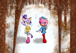 Size: 1024x710 | Tagged: safe, artist:eoswalden, amy rose, blaze the cat, cat, hedgehog, 2019, amy x blaze, cute, eyes closed, female, females only, lesbian, shipping, snow, walking, winter