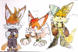 Size: 2047x1369 | Tagged: safe, artist:studioboner, mangey, miles "tails" prower, nine, sails, fox, sonic prime, english text, frown, male, simple background, smile, traditional media, white background