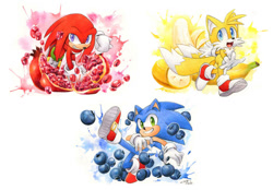 Size: 1072x745 | Tagged: safe, artist:finikart, knuckles the echidna, miles "tails" prower, sonic the hedgehog, abstract background, banana, blueberry, fruit, looking at something, looking at viewer, pomegranate fruit, team sonic, trio