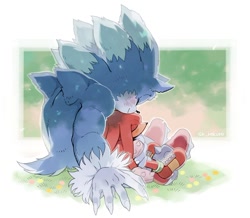 Size: 1098x957 | Tagged: safe, artist:sk_rokuro, knuckles the echidna, sonic the hedgehog, 2023, abstract background, blushing, cute, duo, eyes closed, flower, gay, grass, holding them, knuxonic, leaning on them, parent:knuckles, shadow x sonic, shipping, sitting, smile, werehog