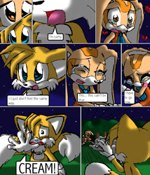 Size: 837x980 | Tagged: safe, artist:arcticcryptid, cream the rabbit, miles "tails" prower, comic:sontails confession, 2009, broken heart, comic, creamabetes, crying, cute, dialogue, duo, english text, female, male, outdoors, panels, running, sad, shipping, shipping denied, shouting, speech bubble, star (sky), straight, tailabetes, taiream, tears
