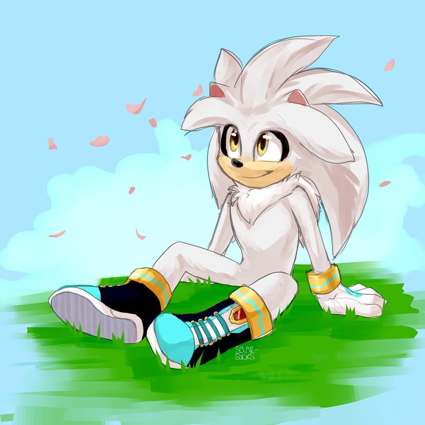 14381 - safe, artist:solar socks, shadow the hedgehog, silver the hedgehog, sonic  the hedgehog, hedgehog, fusion, fusion:shadow, fusion:silver, fusion:sonic,  male 