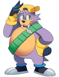 Size: 365x479 | Tagged: safe, artist:drawloverlala, rotor walrus, walrus, archie sonic online, cap, gloves, green eyes, male, official artwork, purple fur, shoes