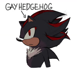 Size: 1172x1075 | Tagged: safe, artist:aietaro, shadow the hedgehog, hedgehog, bust, english text, frown, gay, looking up, male, simple background, solo, standing, white background
