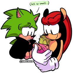 Size: 792x800 | Tagged: safe, artist:sonicwiki, mighty the armadillo, scourge the hedgehog, oc, oc:durian the quilladillo, armadillo, hedgehog, male, quilladillo