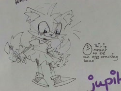 Size: 1818x1358 | Tagged: safe, artist:jupitercl0uds, miles "tails" prower, fox, amy's classic dress, blushing, ear fluff, english text, female, line art, signature, smile, solo, standing, traditional media, trans female, transgender